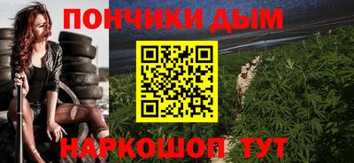 СК Дубна