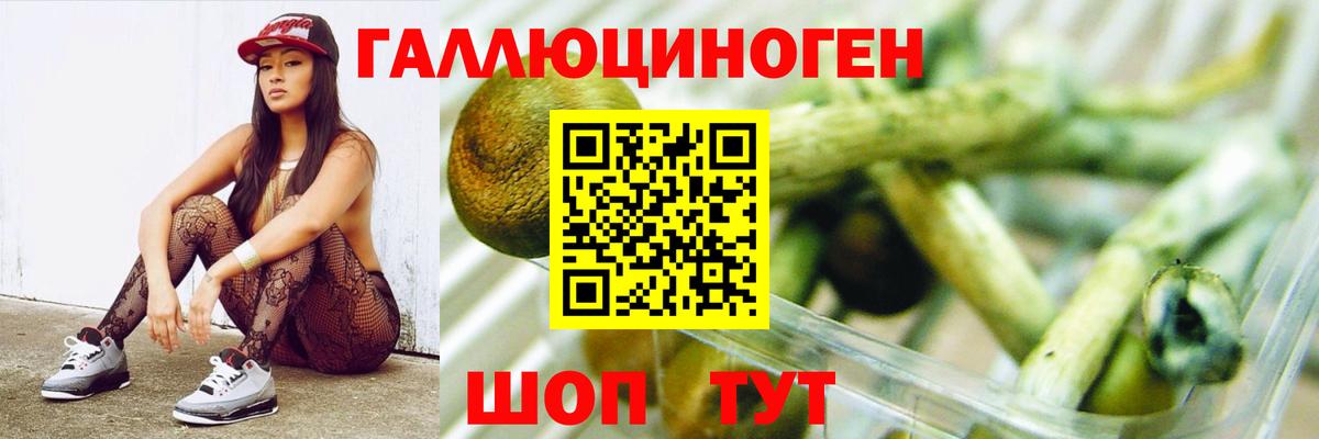 Псилоцибиновые грибы мухоморы Миллерово